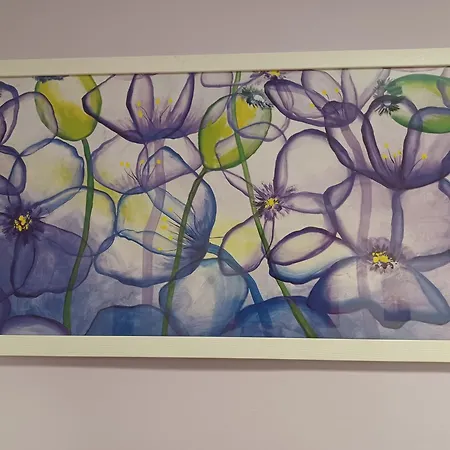 Pitti Mannelli アパート *